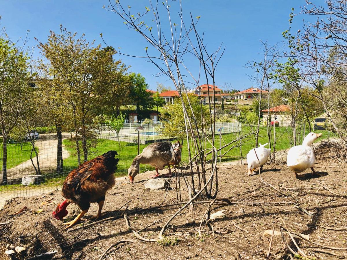 세로리코데바스토 Casa Da Quinta Da Prelada Simao 빌라 외부 사진